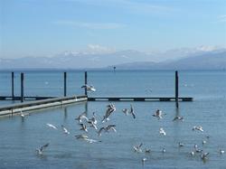 Arbon, Blick auf die Alpen