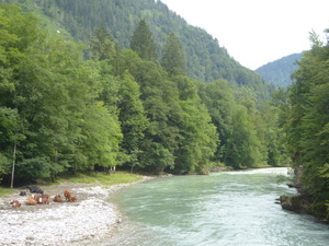 2020-07-15 Saalach bei Schneizlreuth