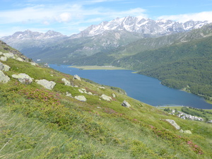 2020-07-04 Maloja, über dem Silsersee