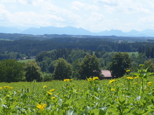 2020-07-12 Schnaitsee